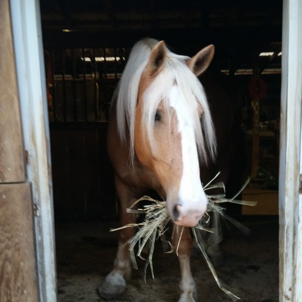 Meet your Posher, Kimberly